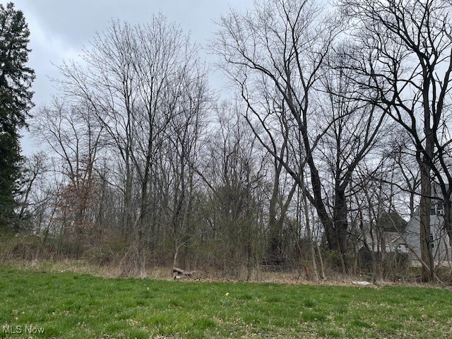 Lot 84 Southeast Avenue, Tallmadge, Ohio image 4