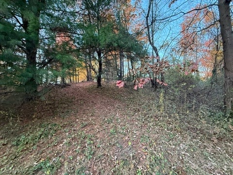 Tiny photo for St Route 43, Mogadore, OH 44260 (MLS # 5257236)