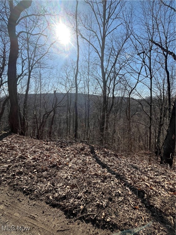 Wells Hollow Road, Wellsville, Ohio image 3