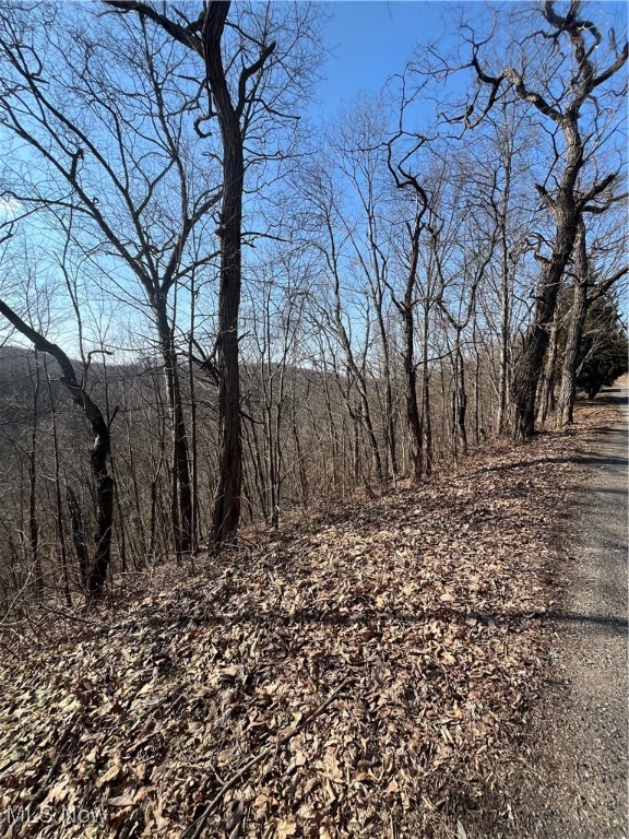 Wells Hollow Road, Wellsville, Ohio image 1