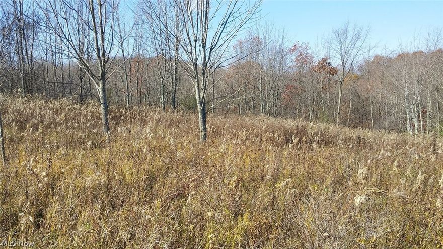 Building Site in East Muskingum School District.   Seller to convey any and all mineral rights they many own.Buyer responsible for well and septic.  Close to I-70.