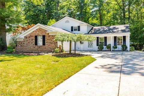 20883 Oak Trail Court, Strongsville, OH 44149 - #: 5049062