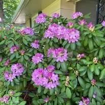 Frank Yuhas 01 - Residential