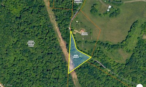 Vacant Land For Sale - 50001 Mellott Road<br/> Jacobsburg, OH 43933