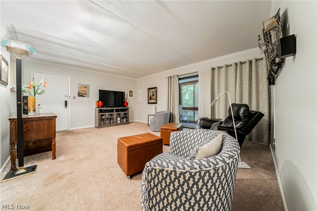 22958 Maple Ridge Road 102