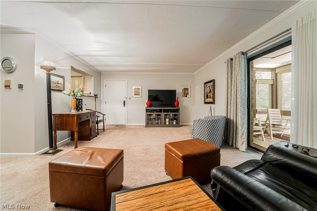 22958 Maple Ridge Road 102