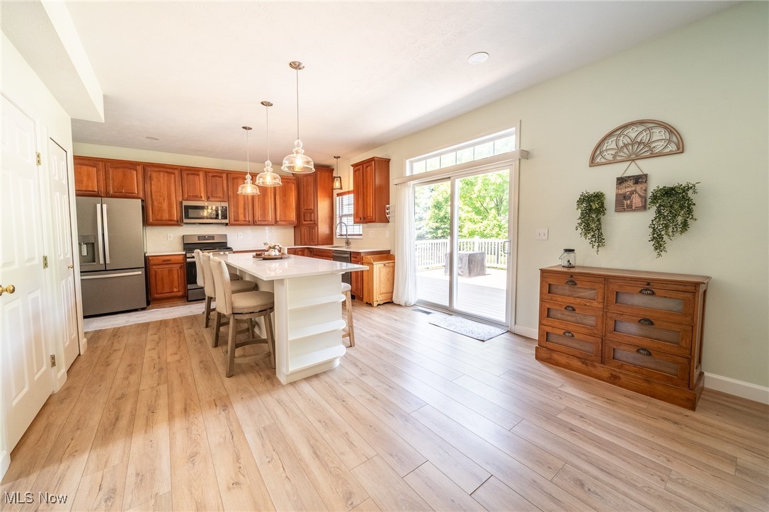 3079 Landing Lane, Reminderville, Ohio image 11