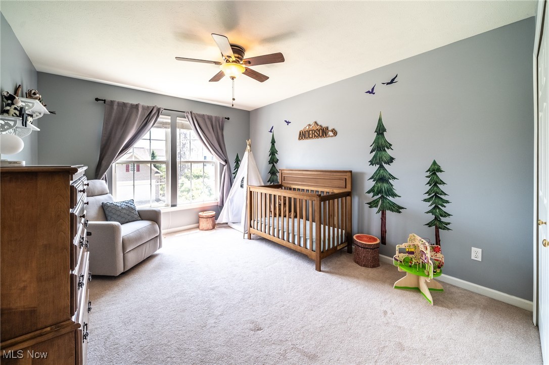 3079 Landing Lane, Reminderville, Ohio image 18