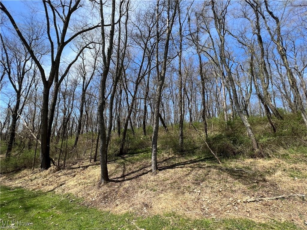 TBD Derby Drive, New Cumberland, West Virginia image 2