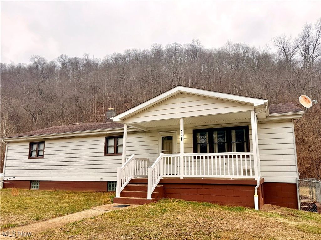 Photo of 60421 Johnson Avenue, Shadyside, OH 43947 (MLS # 5180336)