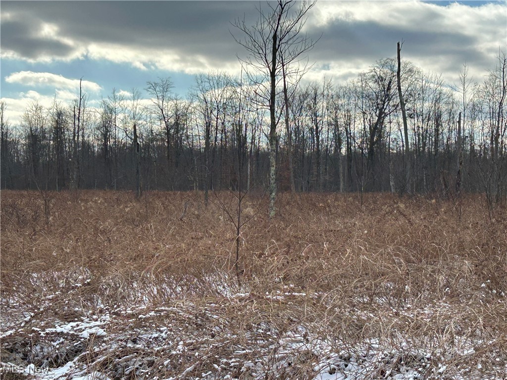 VL Gibbs Road, Andover, Ohio image 6