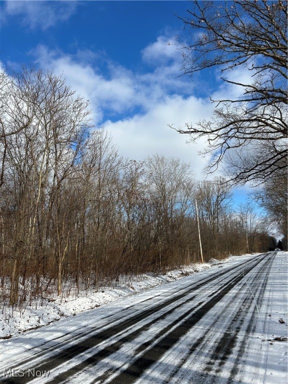 VL Gibbs Road, Andover, Ohio image 2