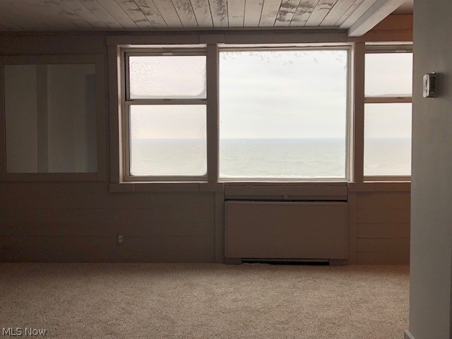 Lake House Condo - Residential