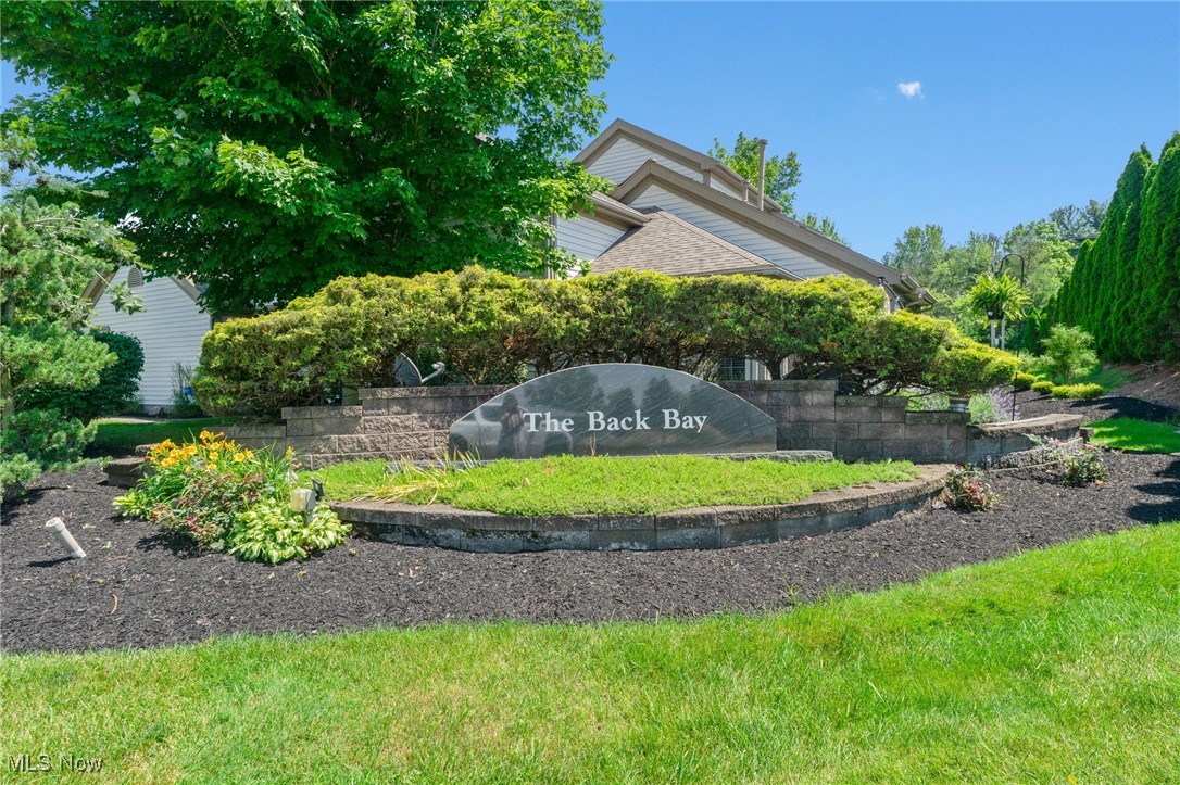 Back Bay / arrowhead - Residential