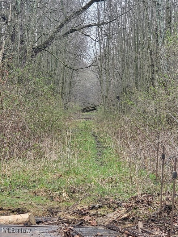 8062 Brigden Road, North Bloomfield, Ohio image 1