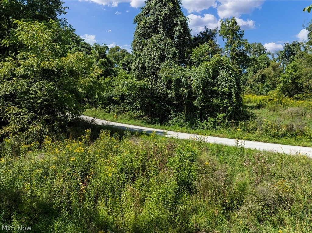 55541 Barnes Road