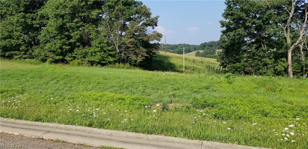 Countryside Estate - Land