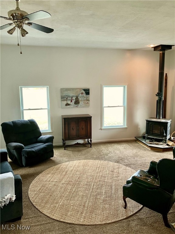 5241 River Road, Madison, Ohio image 12