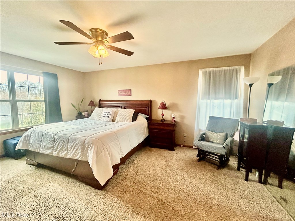5241 River Road, Madison, Ohio image 16