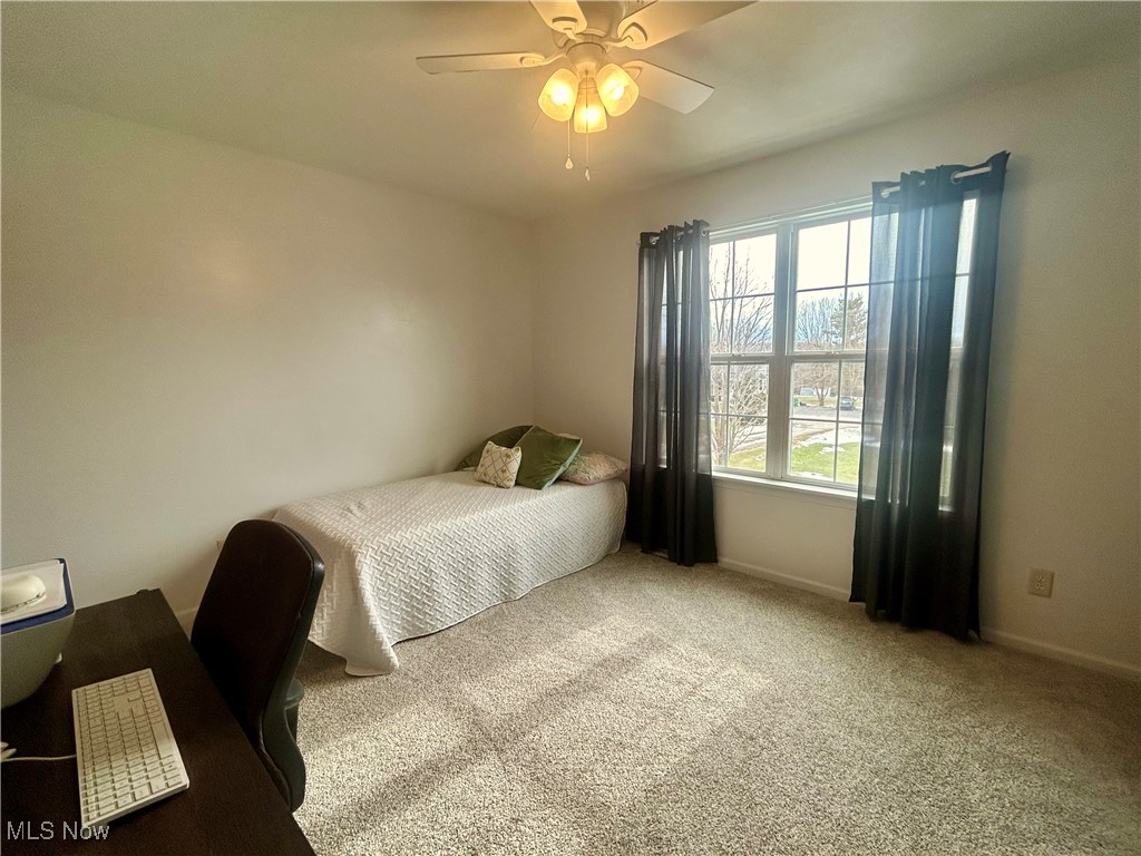 5241 River Road, Madison, Ohio image 19