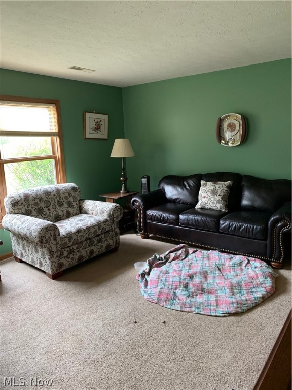 Rittman Village - Residential