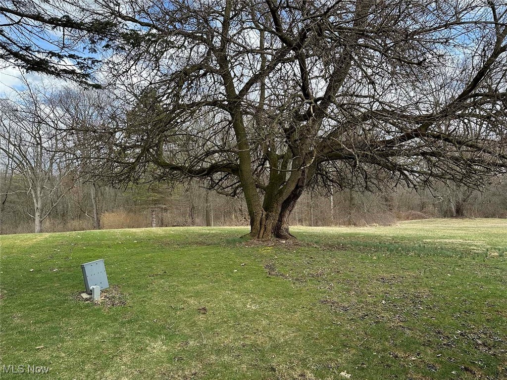 51 Thomas Boulevard, Massillon, Ohio image 19