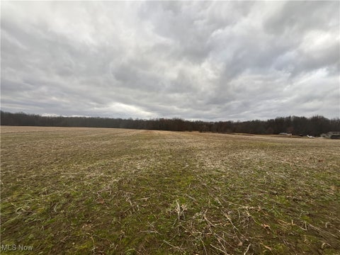 Vacant Land For Sale - St Route 225<br/> Diamond, OH 44412
