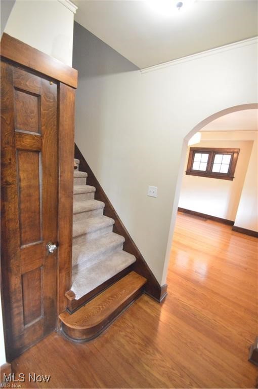 City/Youngstown - Residential