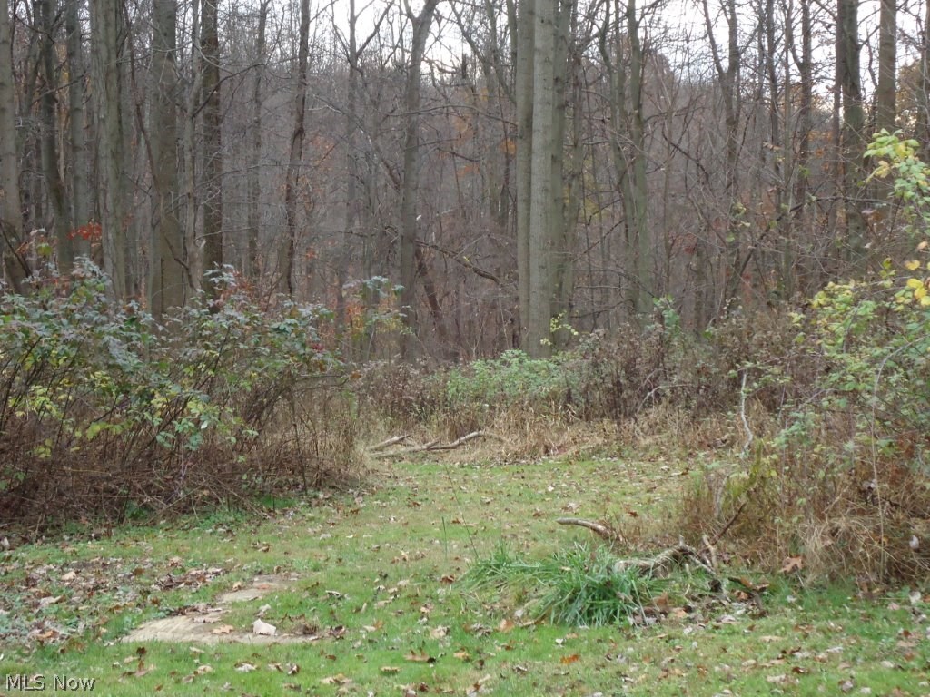 Beautiful, secluded building site. Level land, deep lot. Nice road frontage. Partially cleared. Previously had a small pond that could be redone. Spring-fed land. Seller will retain all minerals, but buyer will hae the ability to have free gas to one structure. Great spot to build your dream home or just use for recreation. Old home does not transfer. Seller removing.