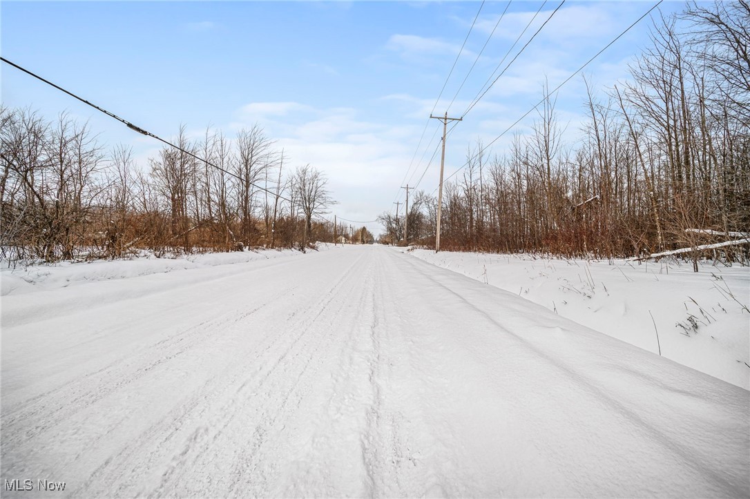 Ledge Road, Thompson, Ohio image 25