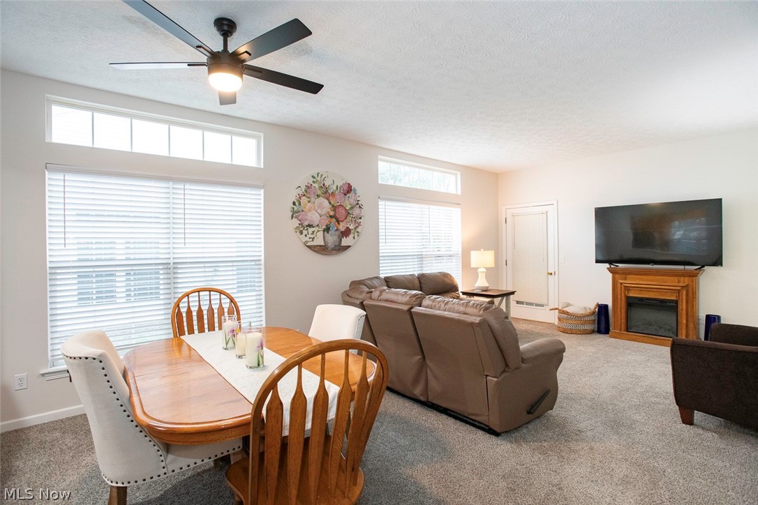 Shenandoah Vill - Residential