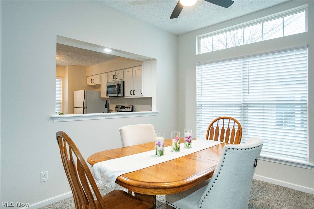 Shenandoah Vill - Residential