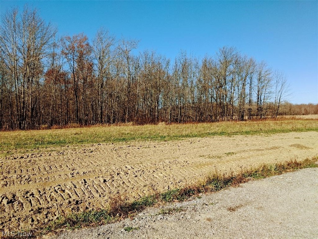 Connecticut Western Reserve - Land