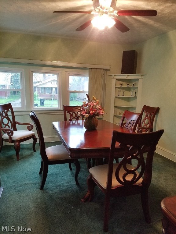 Euclid Ave - Residential