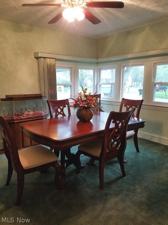 Euclid Ave - Residential