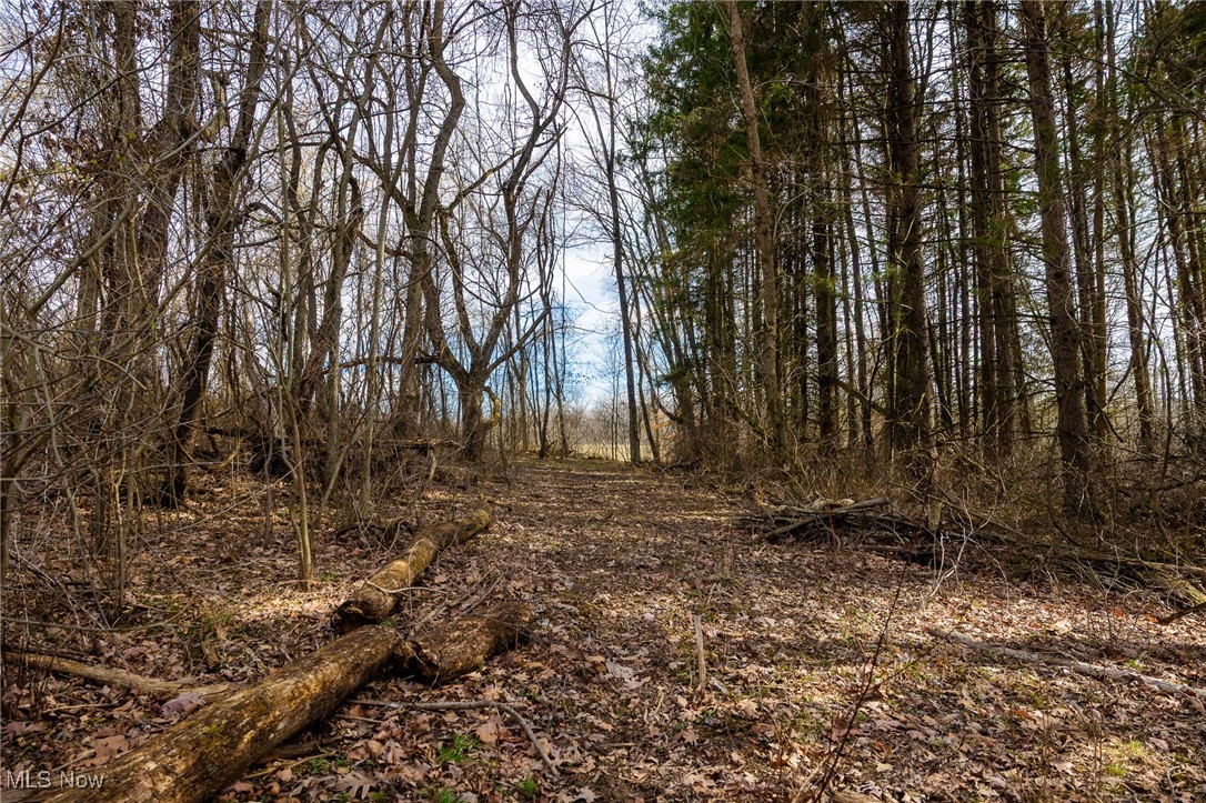 Township Road 106 Road, Rayland, Ohio image 23