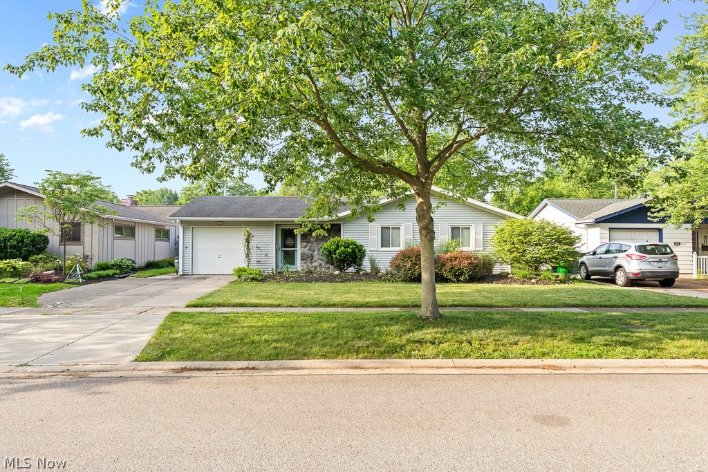 Blue Grass Manor - Residential