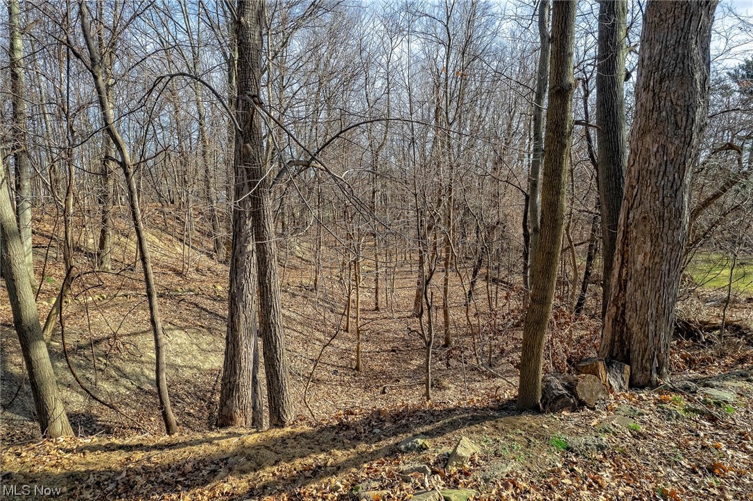 Euclid 15 - Residential