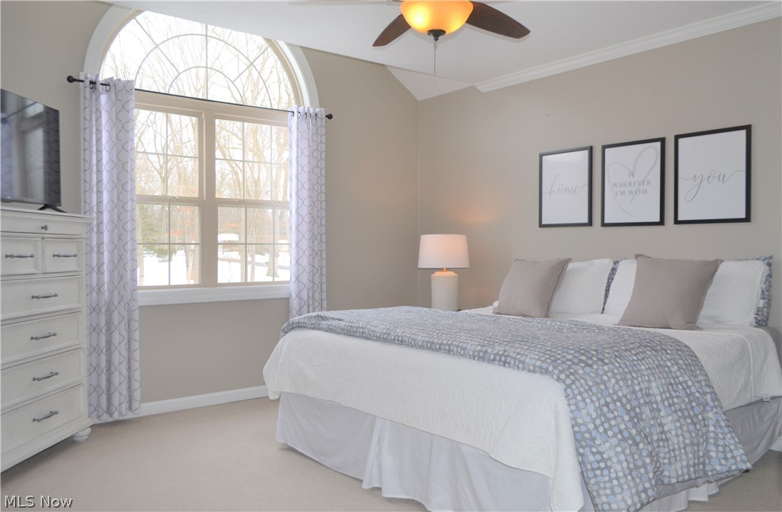 Surrey Hill Estates 1 - Residential