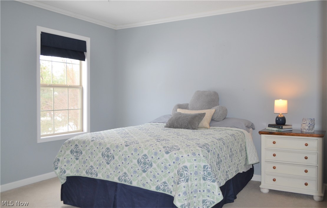 Surrey Hill Estates 1 - Residential