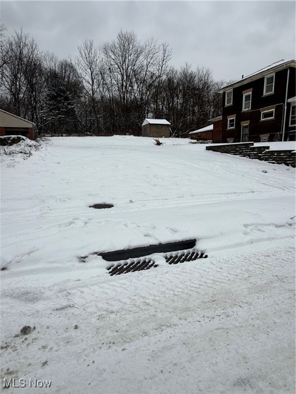 Photo of 3028 Dearborn Street, Youngstown, OH 44510 (MLS # 5177221)