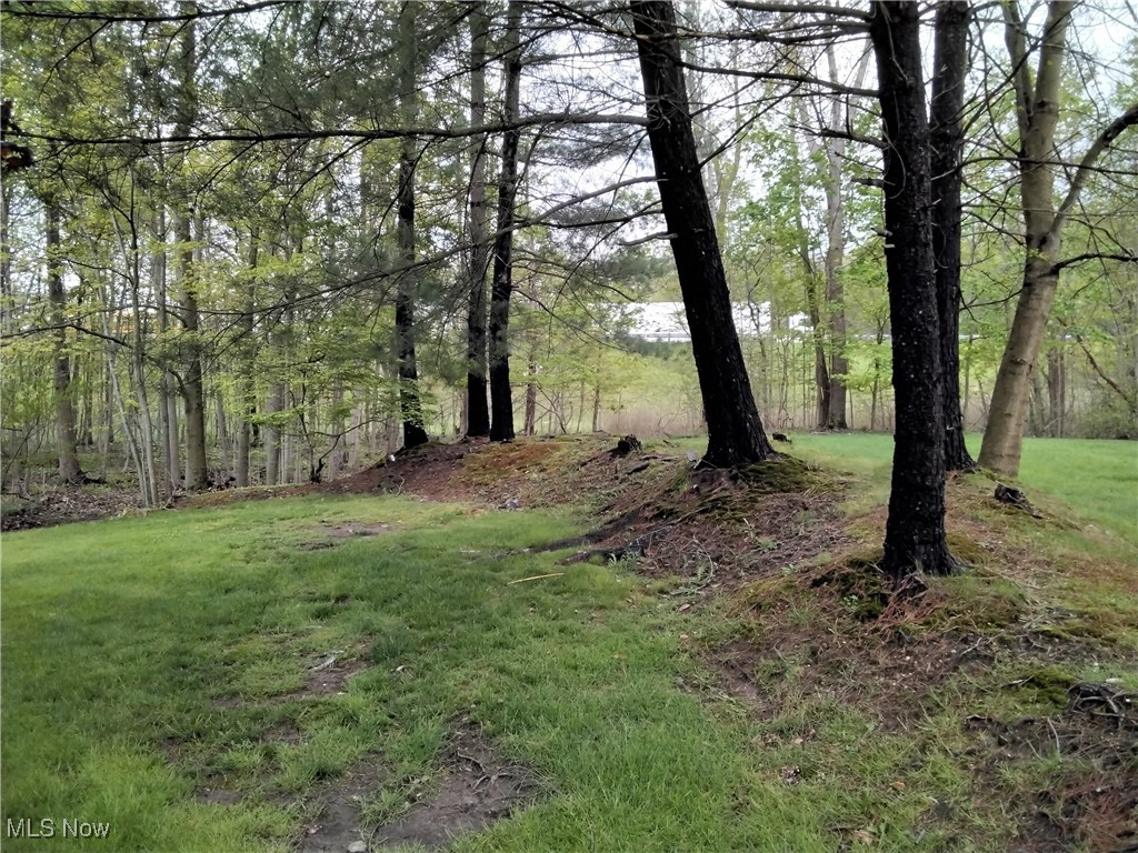 36212 Derby Downs Drive, Solon, Ohio image 48
