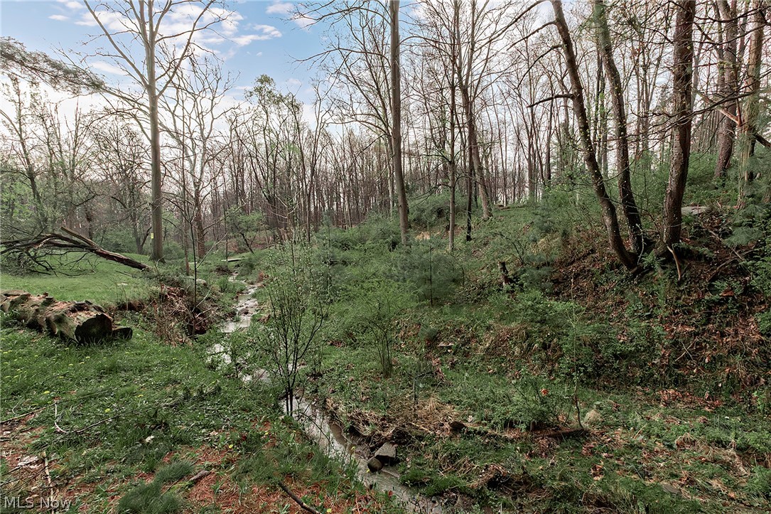 Broadview Heights - Residential