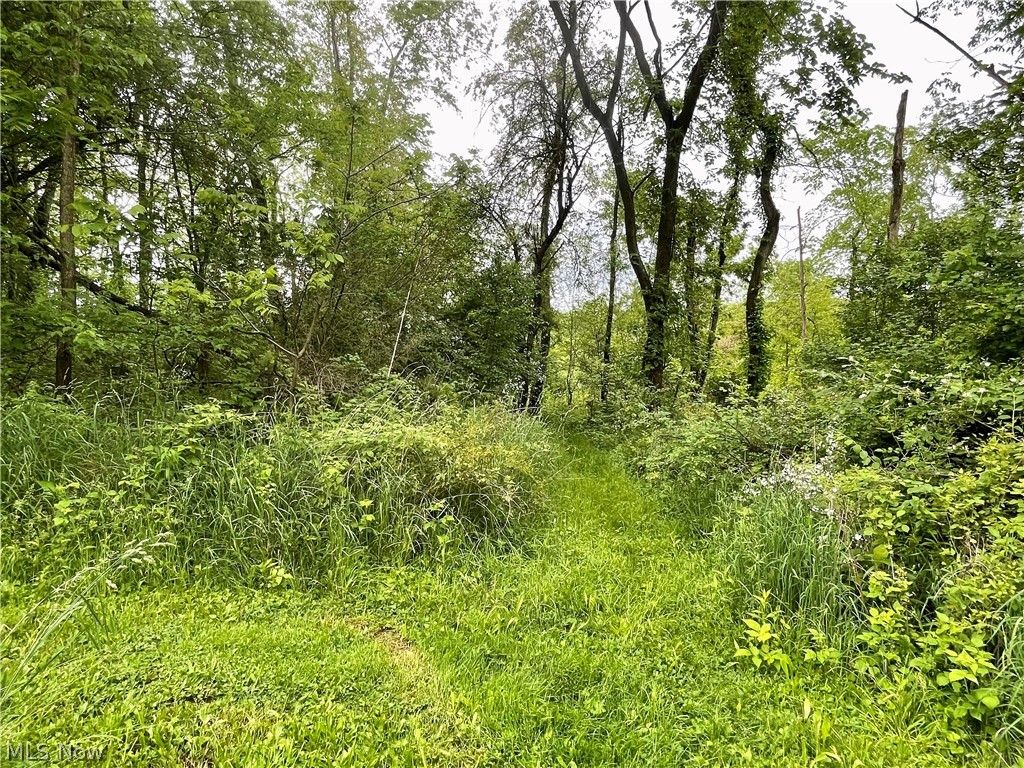 Oscar J Singers Allotment 06 - Residential