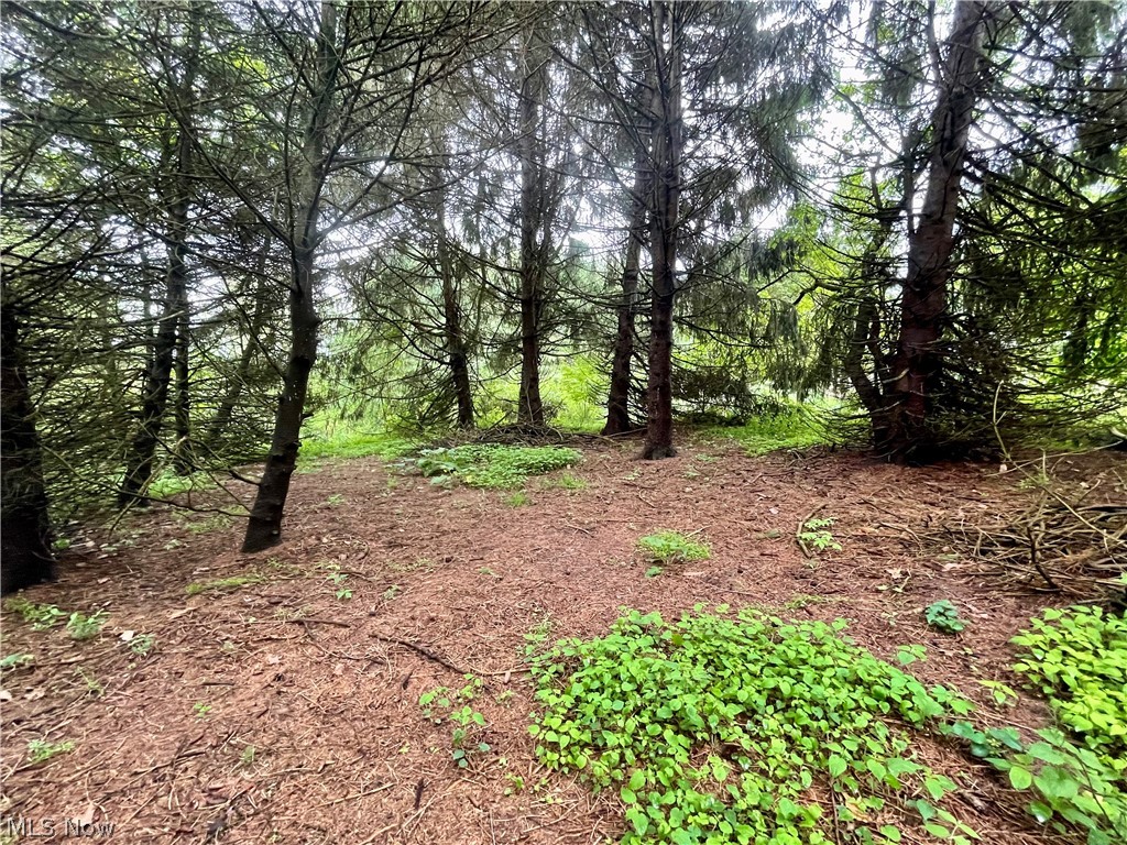 Oscar J Singers Allotment 06 - Residential