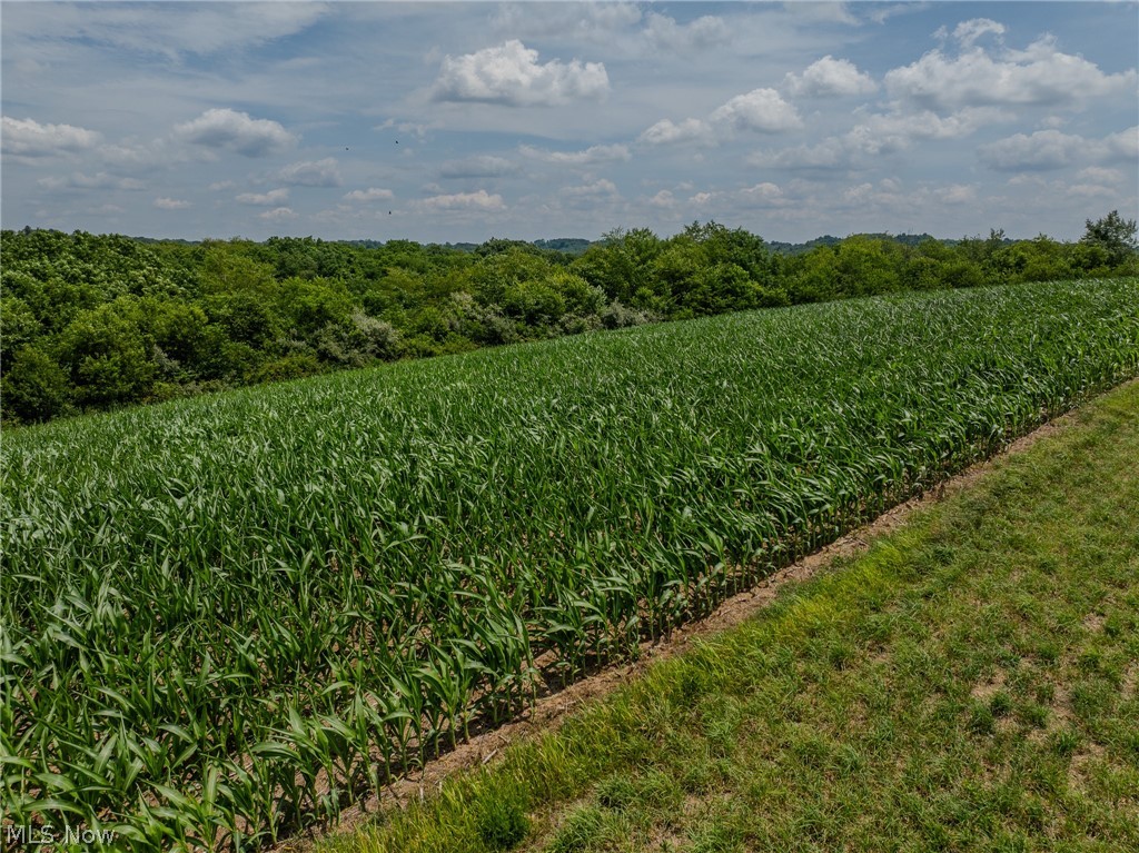 State Route 93, Fresno, Ohio image 11