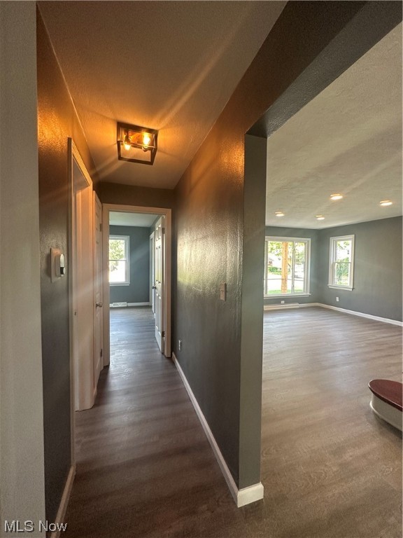 Lincoln Park Allotment - Residential