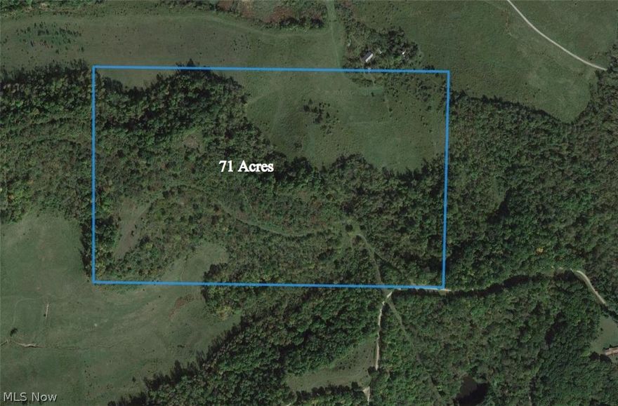 Wayne National Forest is your neighbor, this 71 Acre property borders the Marietta section of the Wayne. There is an old unpaved lane leading into the property so the access is very simple. The mix of heavily wooded land with brush and open areas provides the diversity deer need and is almost always the case in this area of South East Ohio turkeys will be common. Gas and Oil rights do not transfer with this property. This tract abuts a 51 acre tract that is also for sale.