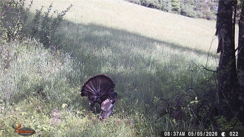 Tiny photo for Crum Ridge Rd, Caldwell, OH 43724 (MLS # 5241479)