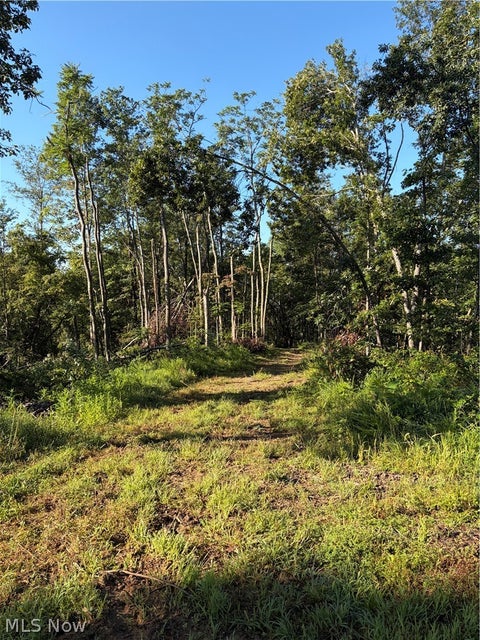 Tiny photo for Crum Ridge Rd, Caldwell, OH 43724 (MLS # 5241479)